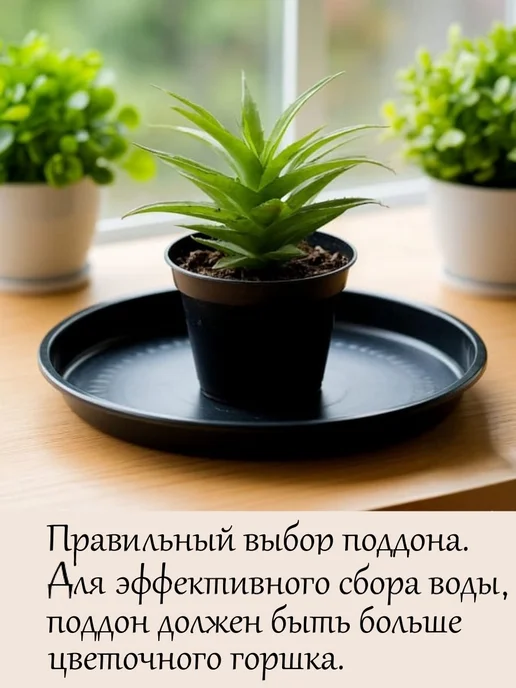 Багульник Поддон для цветочного горшка круглый Чёрный 29-36, зеленый, фото 5