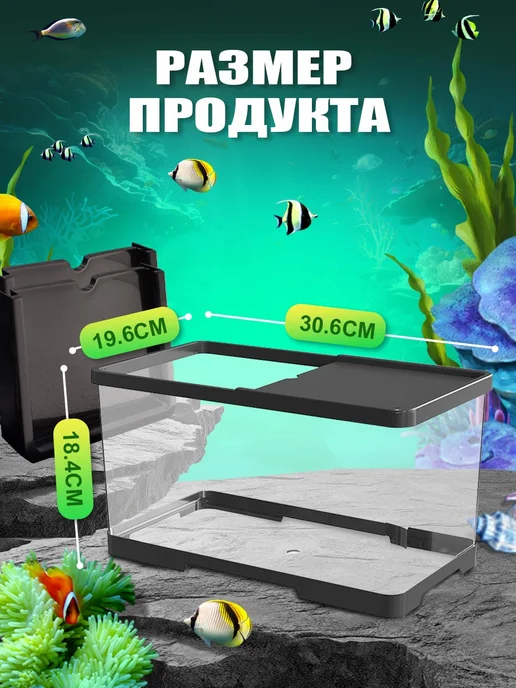 KAEYI Аквариум, вариант, фото 7