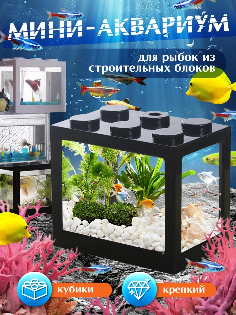 Мини-аквариум