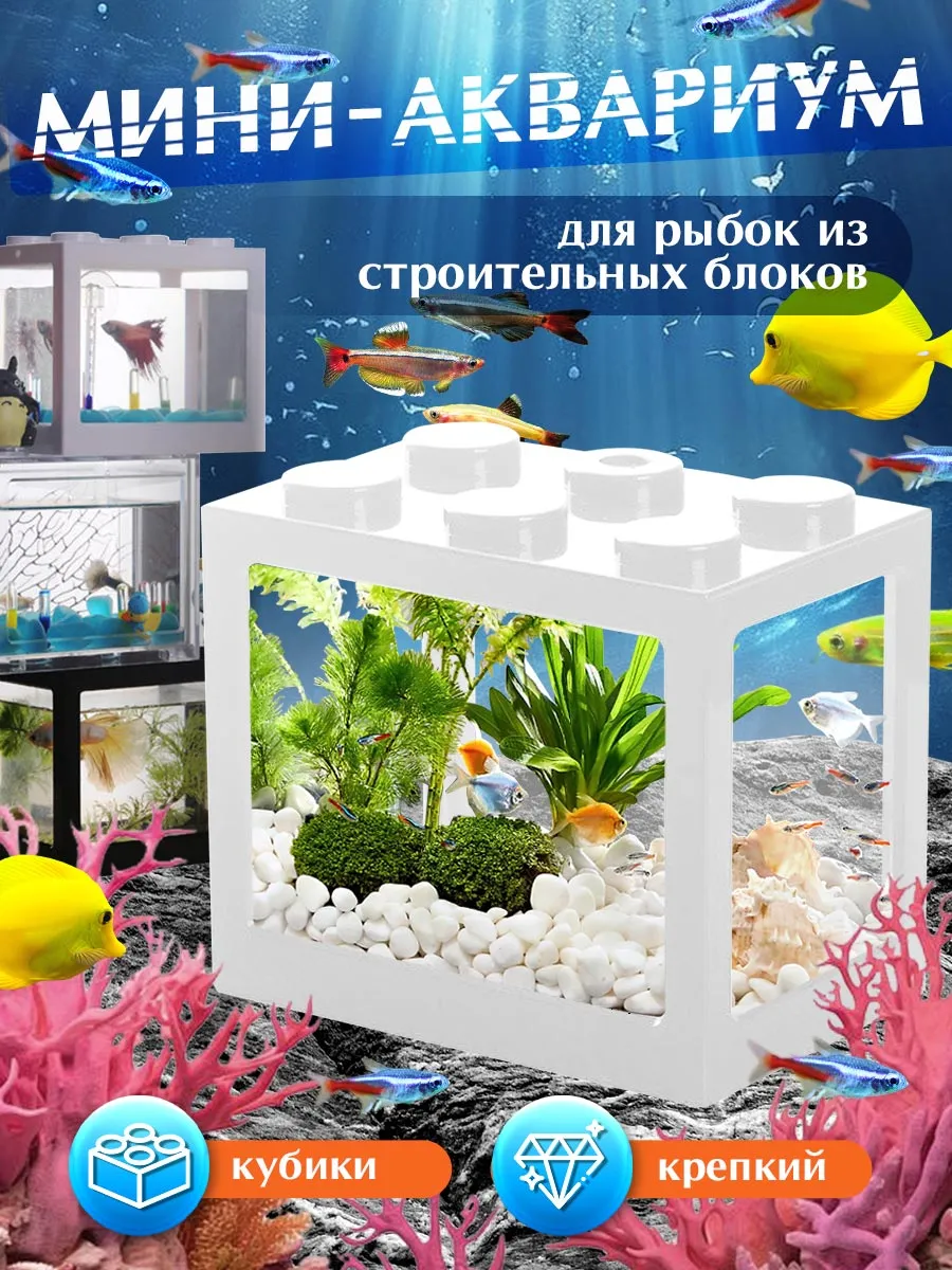 Мини-аквариум