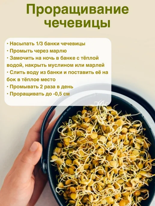 Чечевица зеленая 5 кг, 5 кг, фото 6