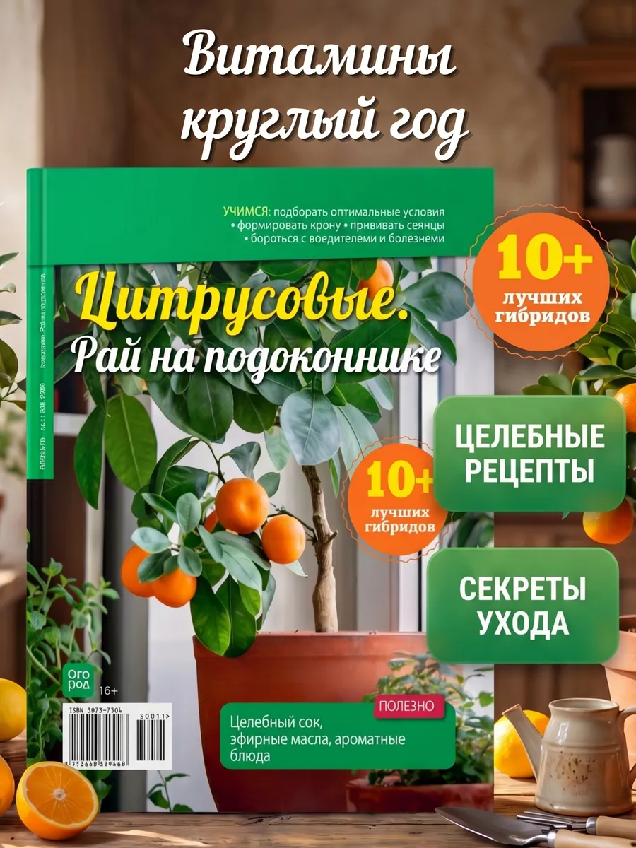 Журнал "Огород" на подоконнике: выращиваем мандарины