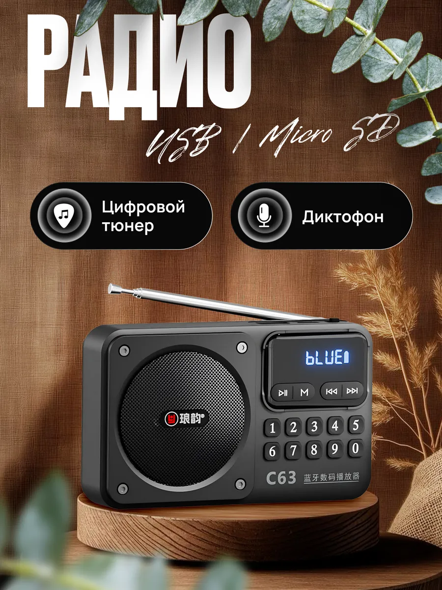 Радиоприемник с флешкой
