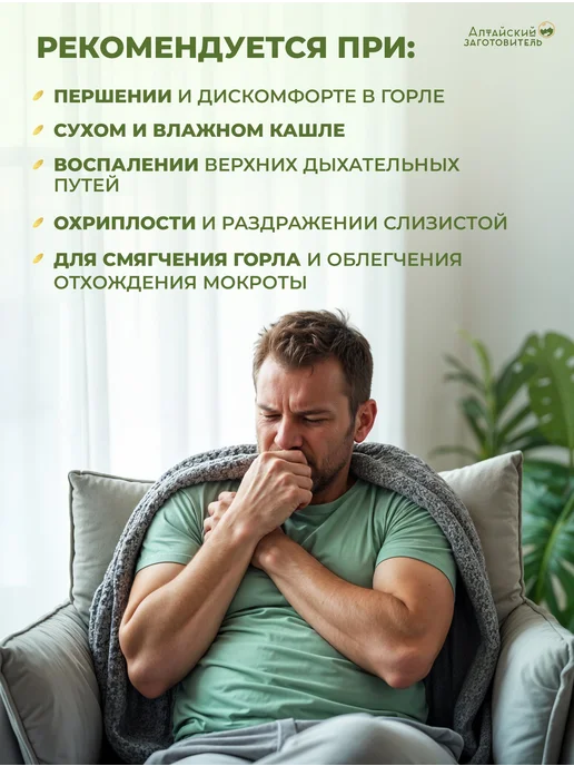 Алтайский заготовитель Леденцы исландский мох с солодкой х2, вариант, фото 3