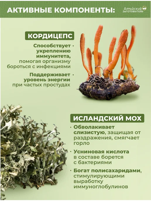 Алтайский заготовитель Леденцы исландский мох с солодкой х2, вариант, фото 4