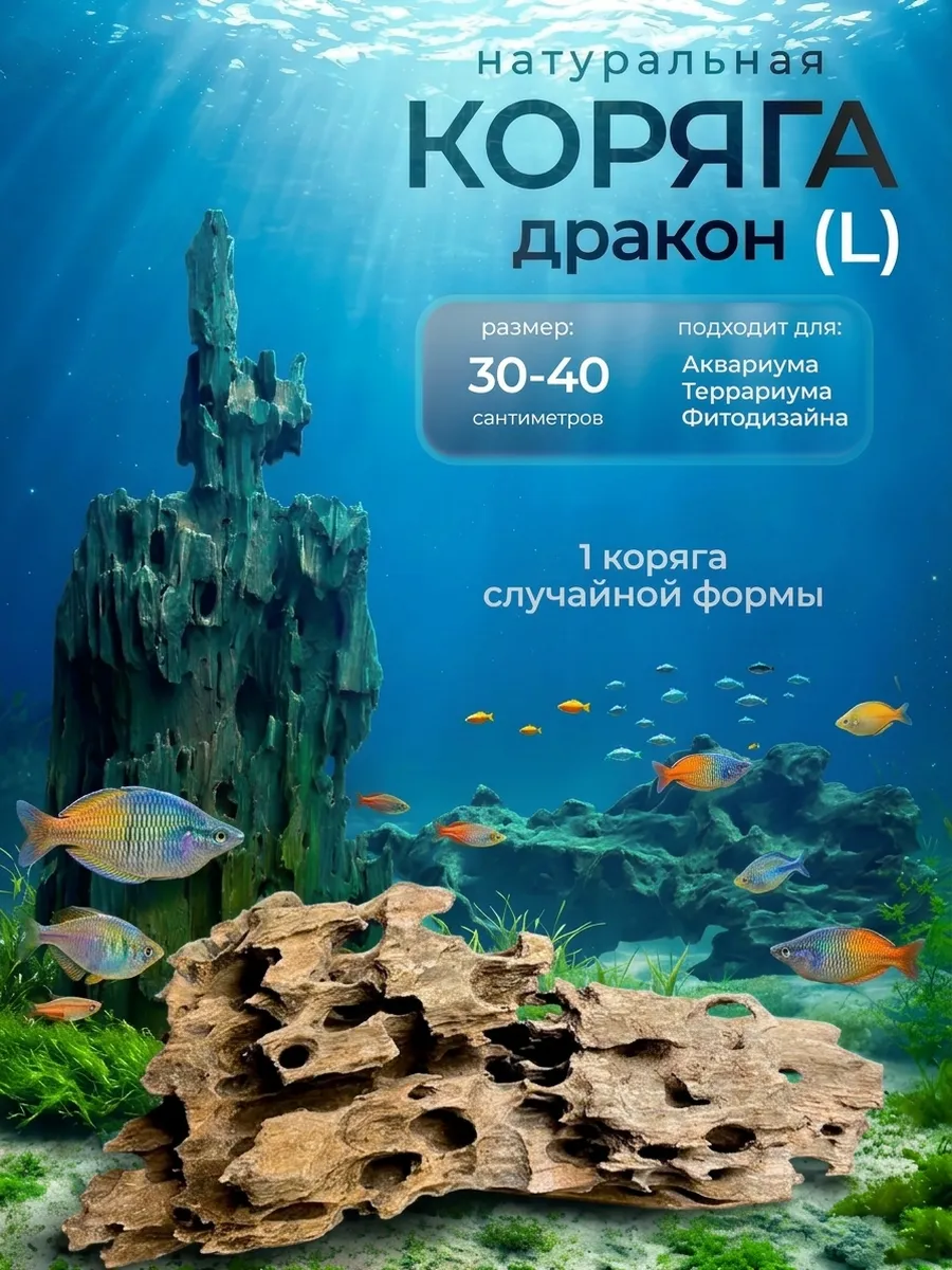 Коряга натуральная "Дракон" 30-40 см, 1 шт