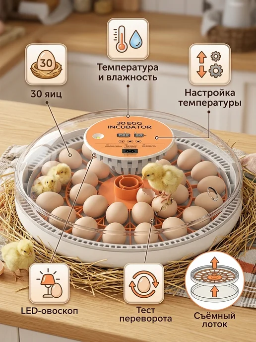 Инкубатор для яиц автоматический с терморегулятором, вариант, фото 3