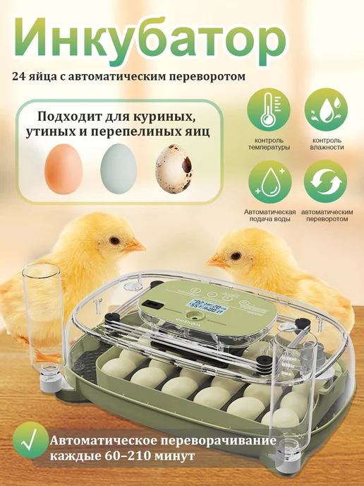 Инкубатор для яиц автоматический с терморегулятором, вариант
