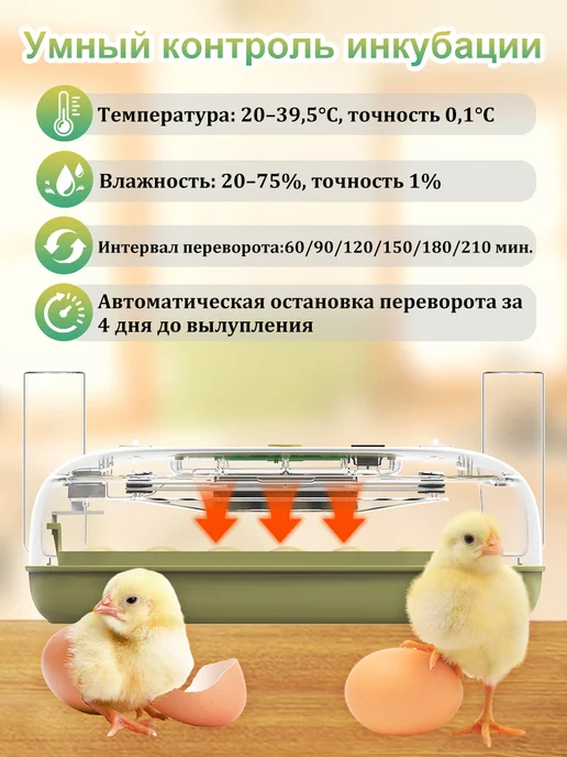 Инкубатор для яиц автоматический с терморегулятором, вариант, фото 3