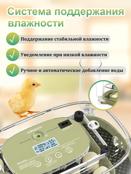 Инкубатор для яиц автоматический с терморегулятором, вариант, фото 4