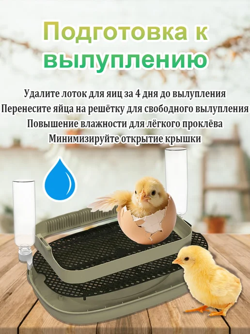 Инкубатор для яиц автоматический с терморегулятором, вариант, фото 7