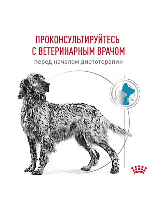 Сухой корм Royal canin При Пищевой для собак, крупные, средние, 4 кг, фото 8