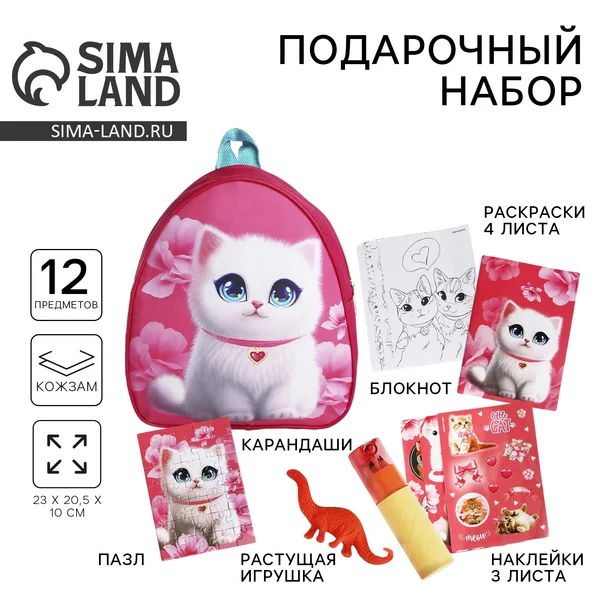 Рюкзак с канцелярскими принадлежностями