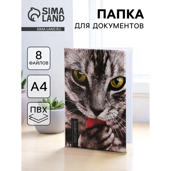Папка для семейных документов
