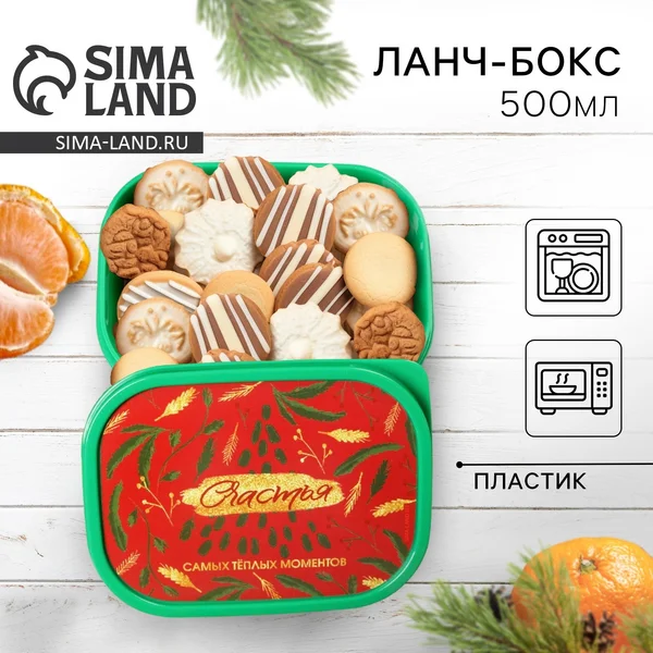 Контейнер для еды подарочный, 500 мл