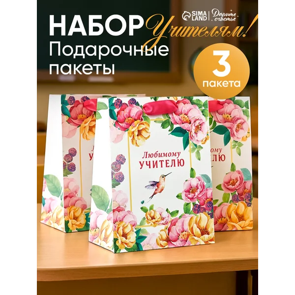 Набор подарочных пакетов учителю, 3 шт 18 × 23 × 10 см