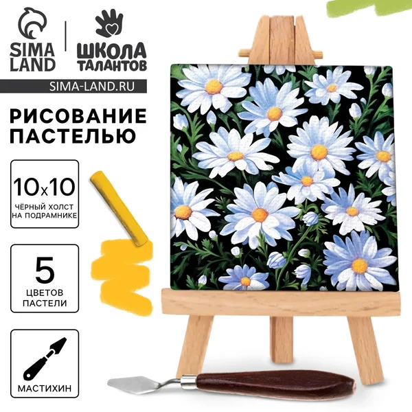 Набор для создания картин пастелью Ромашки