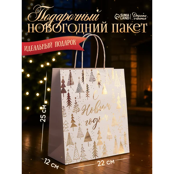 Пакет подарочный крафтовый с ручками, с тиснением