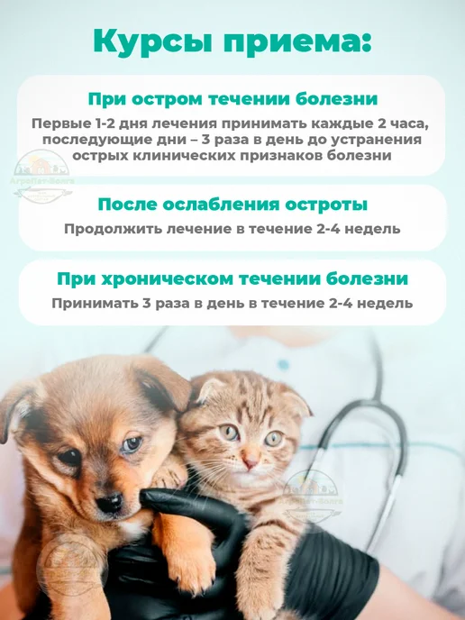 veda Фитоэлита Здоровые почки, вариант, фото 4