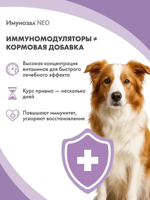 Имунозал Витамины для иммунитета для средних и крупных собак 6 таб, вариант, фото 2