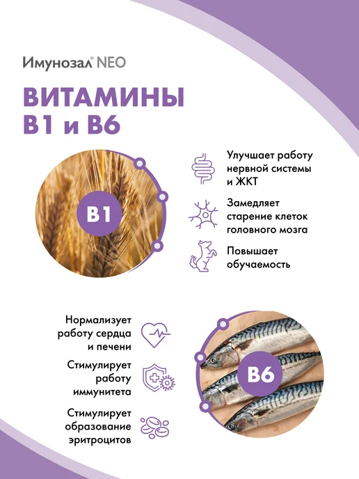 Имунозал Витамины для иммунитета для средних и крупных собак 6 таб, вариант, фото 5