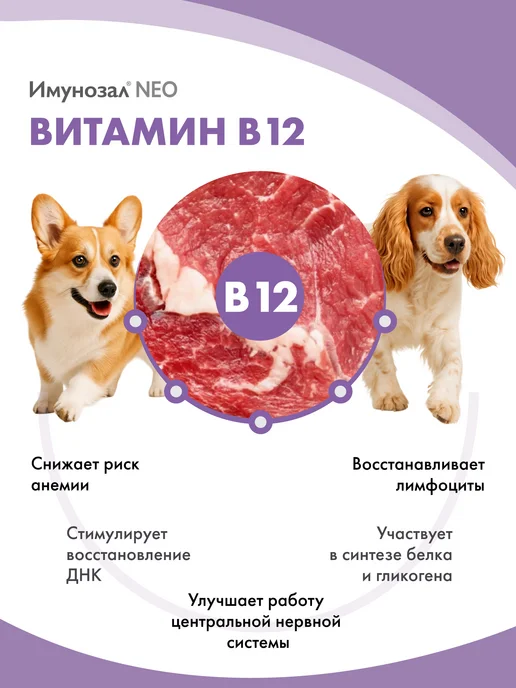 Имунозал Витамины для иммунитета для средних и крупных собак 6 таб, вариант, фото 6