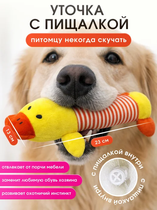 HOMEFOX Игрушки для собак набор 10 в 1, синий, фото 2
