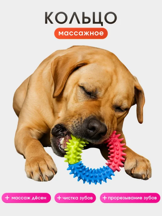 HOMEFOX Игрушки для собак набор 10 в 1, синий, фото 5