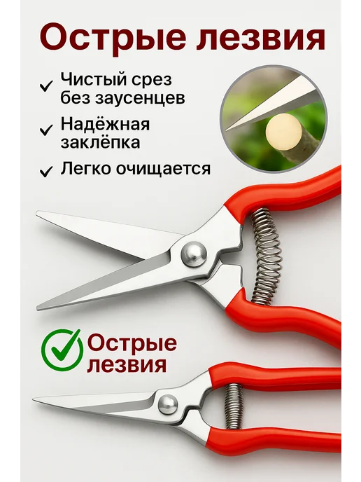 Ножницы садовые для цветов секатор универсальный 2 шт, 2 шт, фото 2