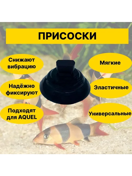 Комплект присосок для аквариумов D22мм 4шт, 4 шт, фото 2