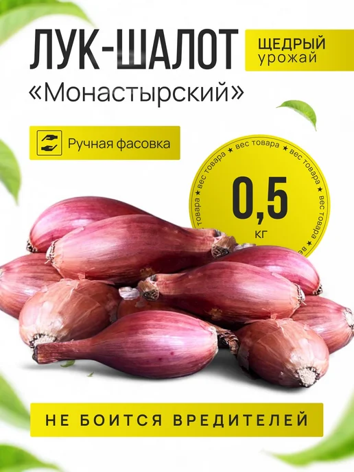 Озимая посадка Лук шалот луковицы на посадку Монастырский 0,5 кг, 500 г
