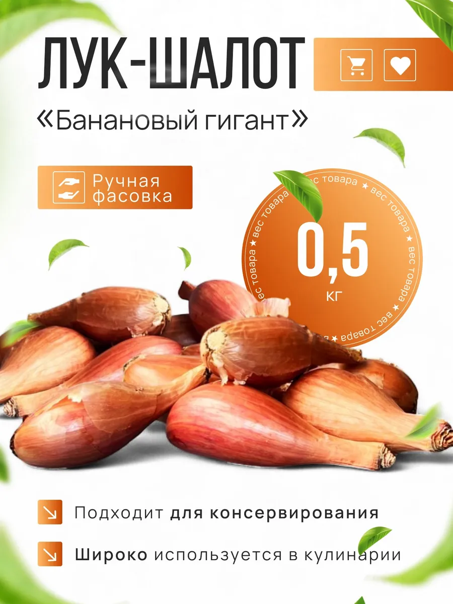 Лук шалот луковицы на посадку Банановый гигант 0,5 кг