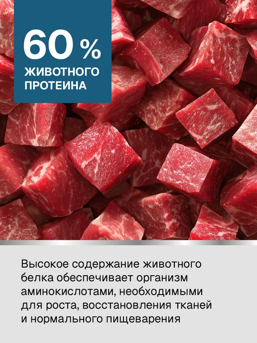 Сухой корм ULTRA для собак, взрослые, говядина, 0,6 кг, фото 2