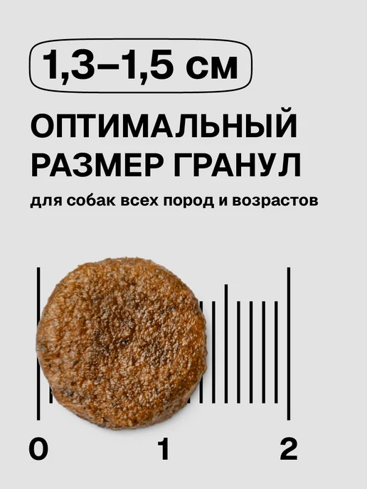 Сухой корм ULTRA для собак, взрослые, говядина, 0,6 кг, фото 6