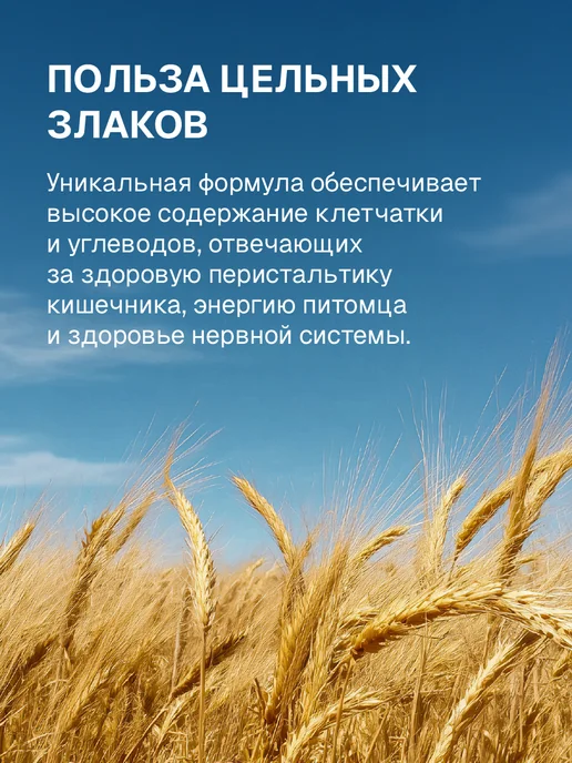 Сухой корм ULTRA для собак, взрослые, говядина, 3 кг, фото 7
