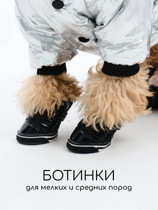 Petite Pets Обувь для собак средних и мелких пород, вариант, фото 2