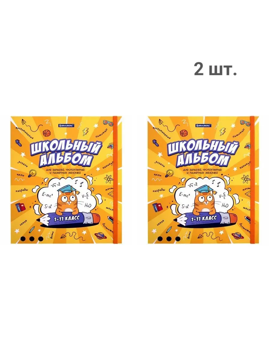 Папка-портфолио школьника, а4, школьный альбом, 10 вкл - 2шт