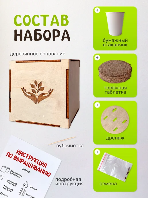 Сад на окне Огурец Набор для выращивания овощей, вариант, фото 2