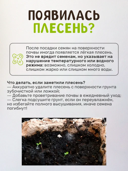 Сад на окне Огурец Набор для выращивания овощей, вариант, фото 5