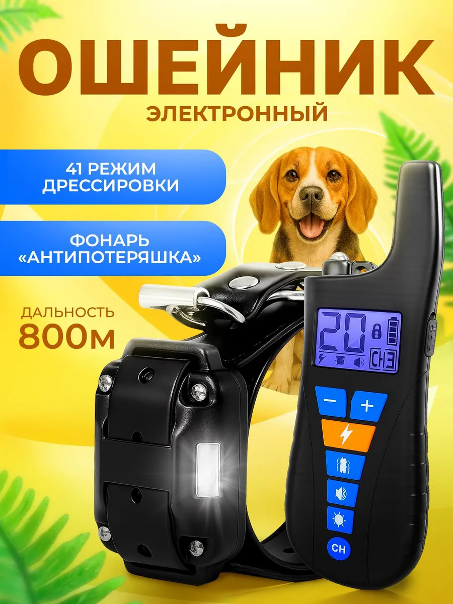 Электронный ошейник для дрессировки собак