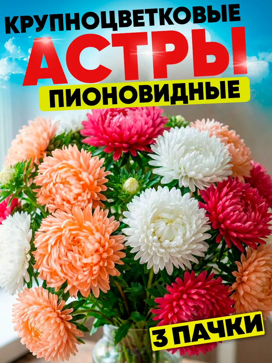 Семена цветов Астры набор