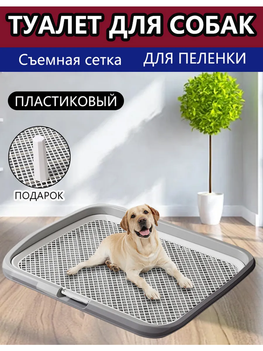 Лоток для кошек