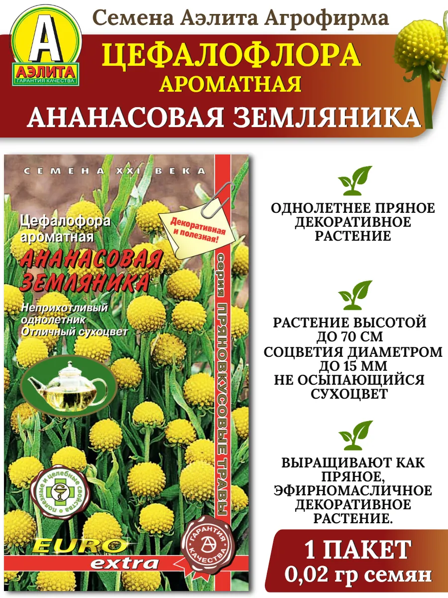 Семена Цефалофлора ароматная АНАНАСОВАЯ ЗЕМЛЯНИКА - 1 пакет