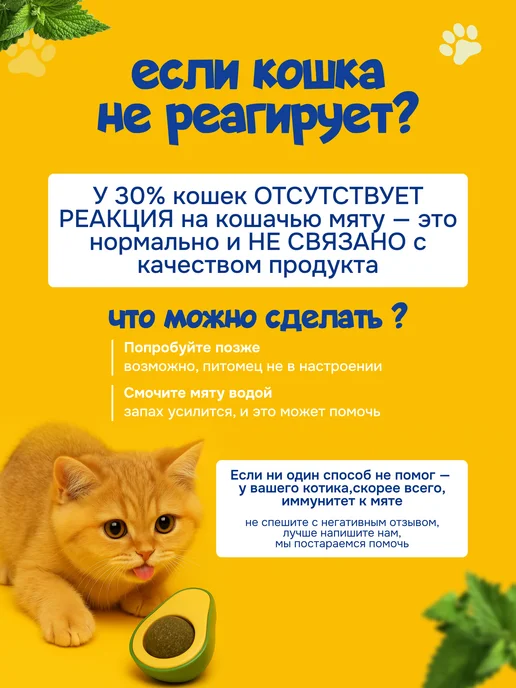 КотоГраф Кошачья мята Авокадо, вариант, фото 2