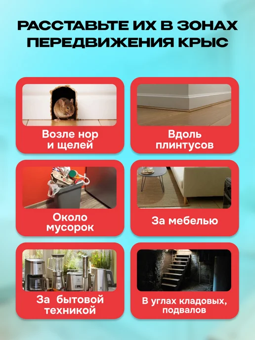 КРЫСИНАЯ СМЕРТЬ№1 Отрава для мышей и крыс, 600 грамм, вариант, фото 3