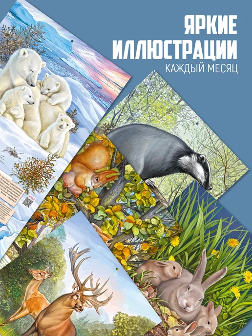 ТМ Империя поздравлений Настенный календарь 2027 + 2028 Родная природа, вариант, фото 2