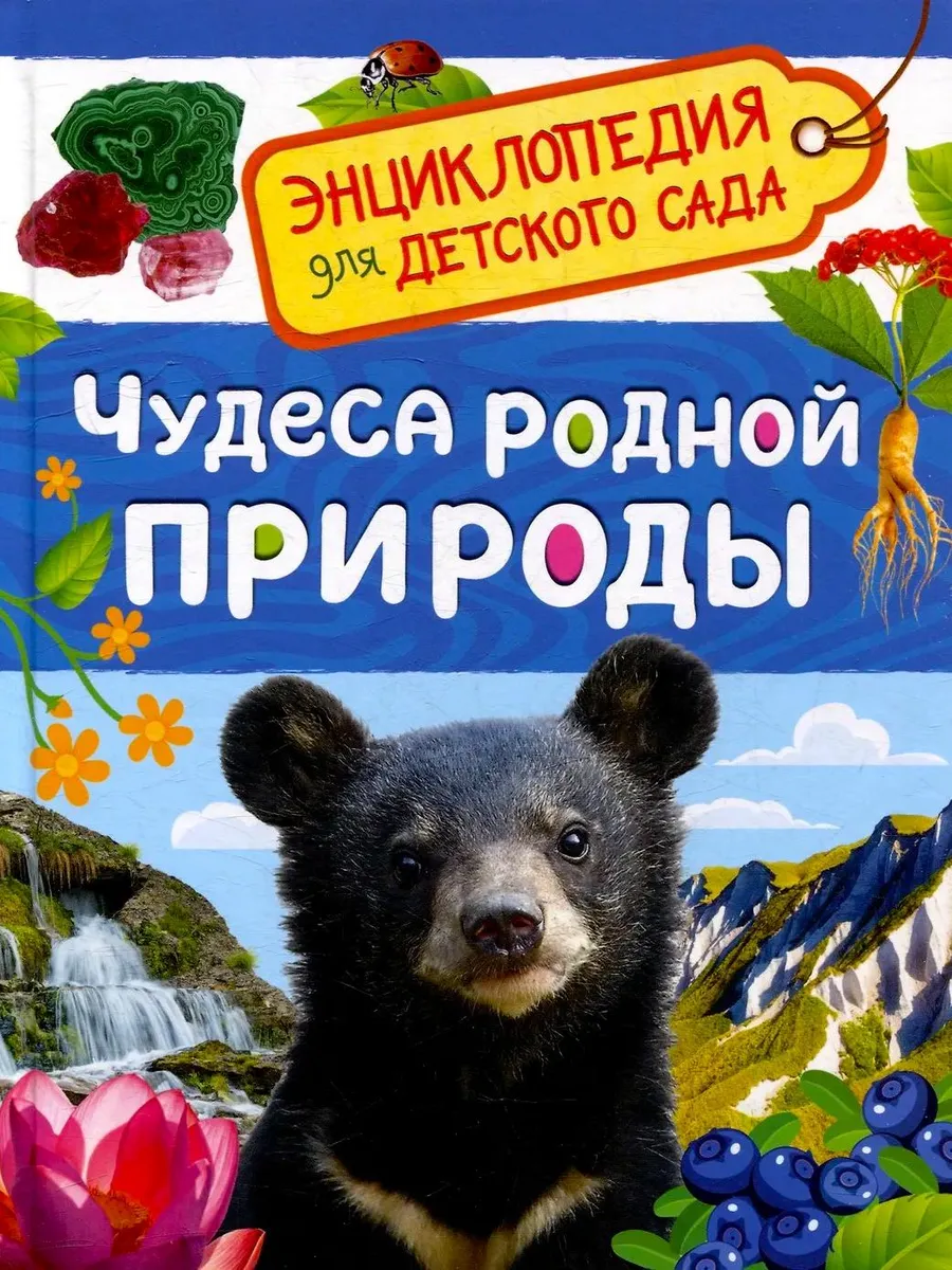 Чудеса родной природы Энциклопедия для детского сада