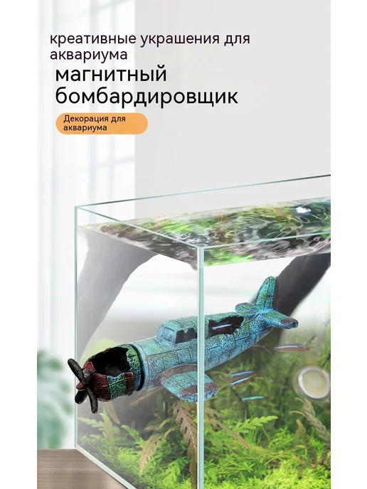 Аквариум цвет, вариант, фото 8