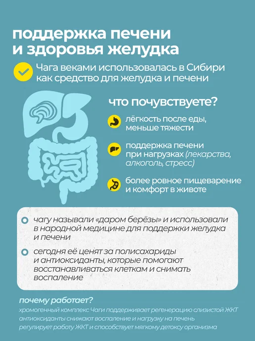 ALTIME Чага березовая натуральная в капсулах 500мг 120шт, 120 шт, фото 2