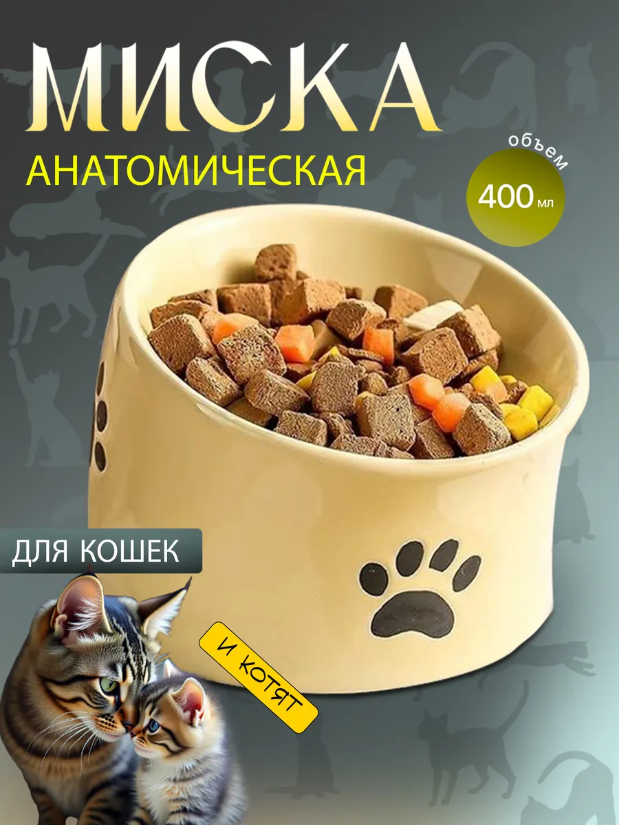 Эргономичная керамическая миска с наклоном для кошек и собак